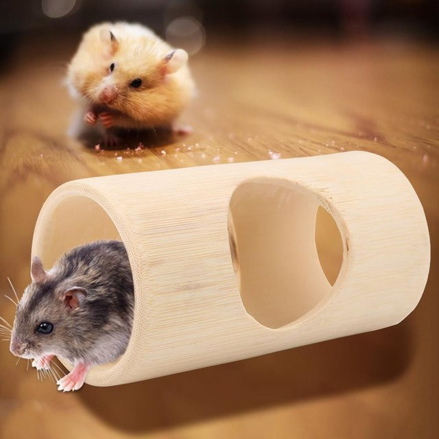 mfySpace Hamster Bambusröhre Spielzeug, Groß - Bild 1