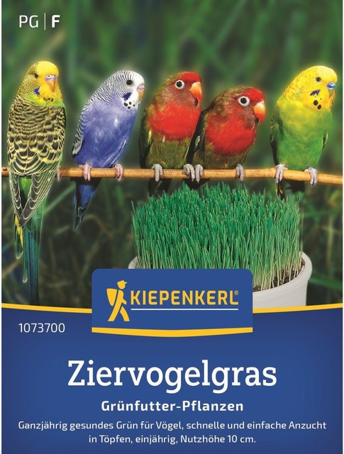 Kiepenkerl Ziervogelgras Mischung in Frischgrün als Saatgut für den Garten oder Zimmerpflanzen - Bild 1