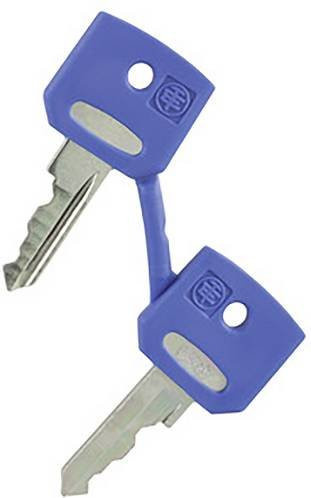 Schneider Electric ZBGF046 Ersatzschlüssel in Blau - Bild 1