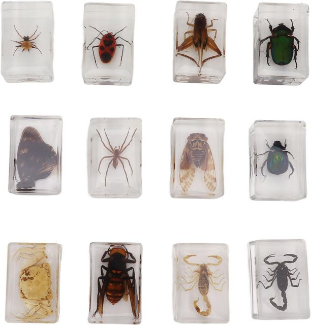 GoolRC 12 Stück Echte Insektenpräparate in Transparentem Harz, Grau/Mehrfarbig, für den naturwissenschaftlichen Unterricht - Bild 1