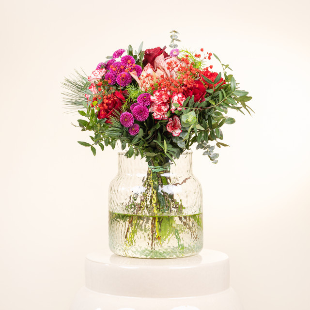 BLUME2000 Amarylliszauber M mit Lieblings-Vase M - Bild 1