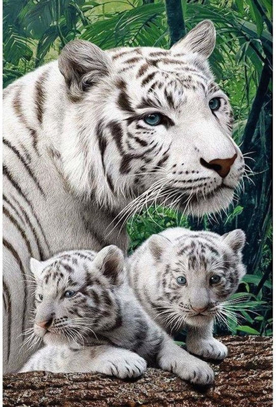FIYO 5D Diamond Painting Set mit drei Tigern, Strass-Mosaik zum Selbermachen, Farbe: Weiß, Breite: 30 cm, Höhe: 20 cm - Bild 1