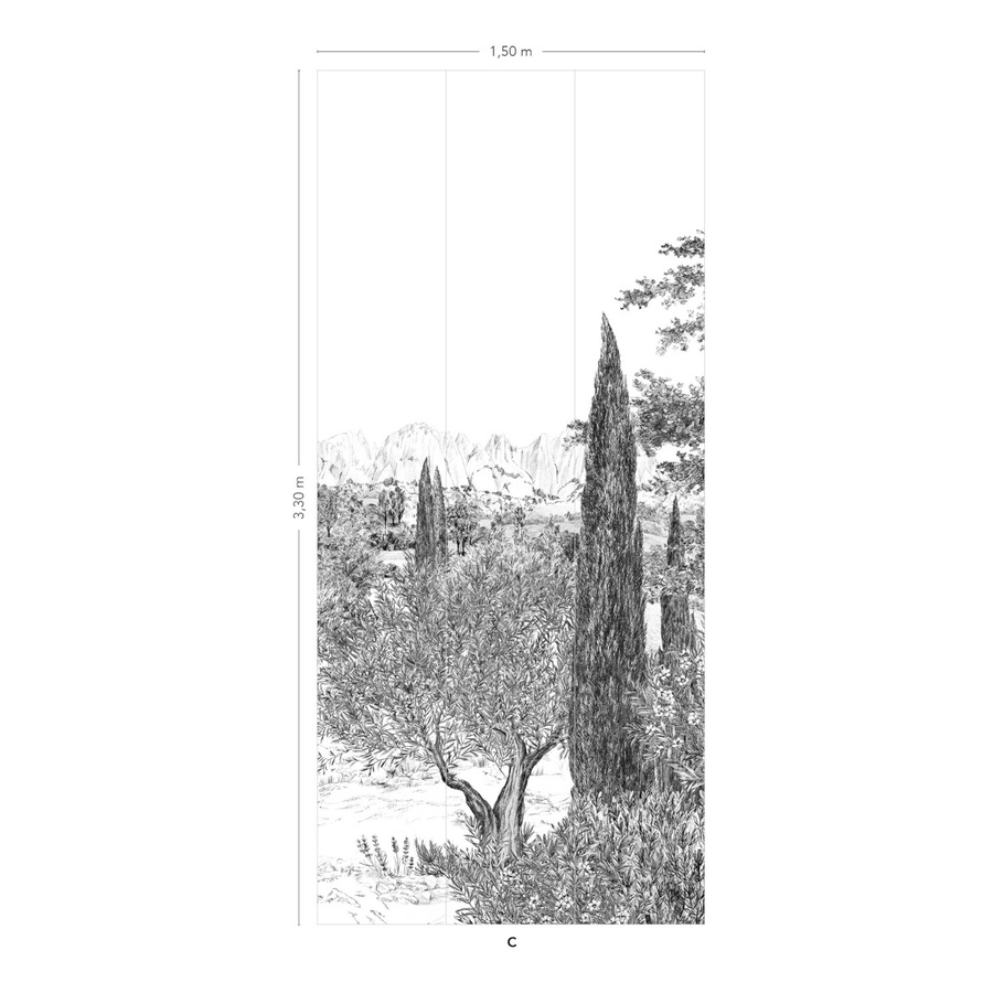 Isidore Leroy Mural Provence Grisaille Panel C Wandtattoo in Grau mit floralem Vintage-Design und Naturmotiv aus Vlies - Bild 1