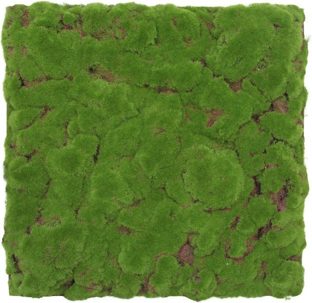 Jangal Wandpaneel Modular Wall Moos in Forest Green, B/H: 52 x 52 cm - Bild 1