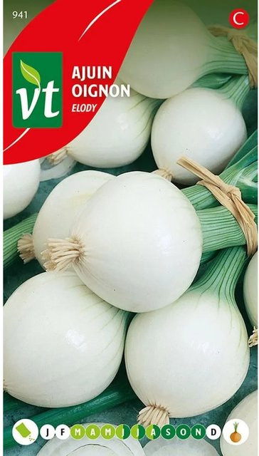 Arborix Zwiebel Elody Saatgut Aromatisch 4 g - Bild 1