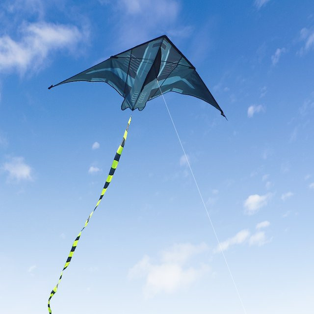 Yongjian Flugzeugdrachen Delta-Drachen, 2m - Bild 1