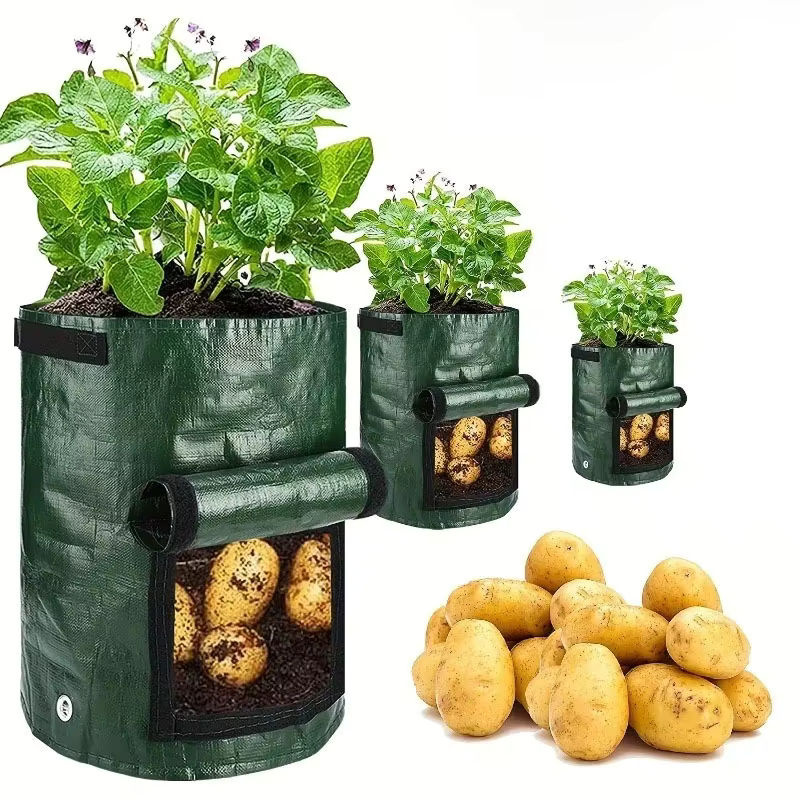 Garten Anbau Beutel aus PE für Gemüse wie Kartoffeln und Karotten zum Pflanzen im Freien - Bild 7