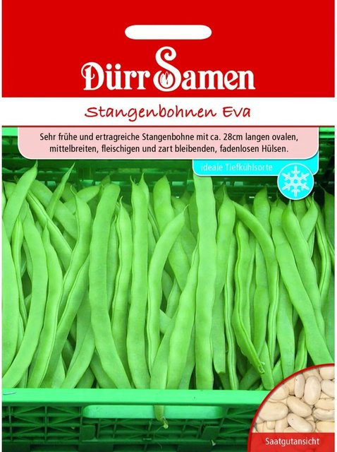 Dürr Samen Stangenbohnen Eva Saatgut 100 g - Bild 1