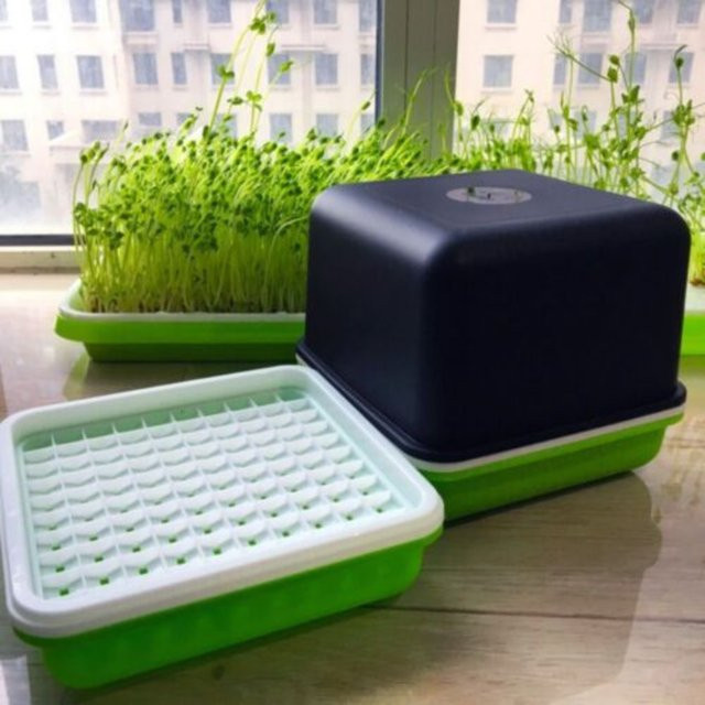 Weiße Hydrokultur Pflanzbox aus Kunststoff zum Sprießen von Erdnuss und Sojasprossen, B/T/H: 17,0 x 17,0 x 15,5 cm - Bild 1