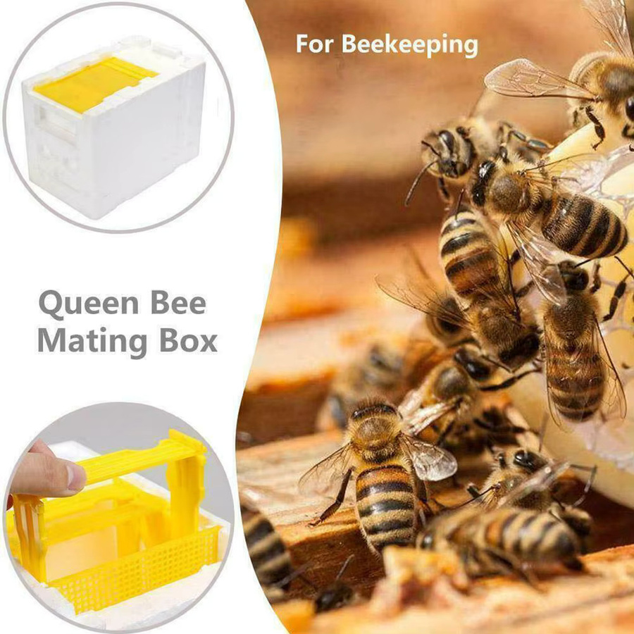 Imkerei Box aus Kunststoff für die Bienenzucht und Bestäubung - Bild 2