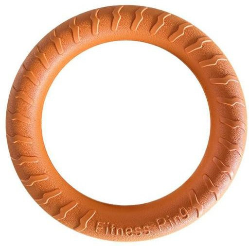 Pets Home Hundespielzeug, interaktiver Hundetrainingsring, orange - Bild 1