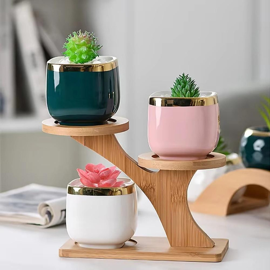 Suzhoushengyuan Bambus Pflanzenregal für Sukkulenten und Bonsai als Desktop-Organizer in Naturfarben - Bild 3
