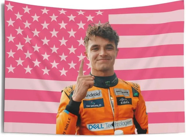 VIKAMA Lando Norris Wandteppich mit amerikanischer Flagge in Rosa, F1-Rennfan Wandkunst für Schlafzimmer und Studentenwohnheim, B/H: 60 x 40 cm - Bild 1