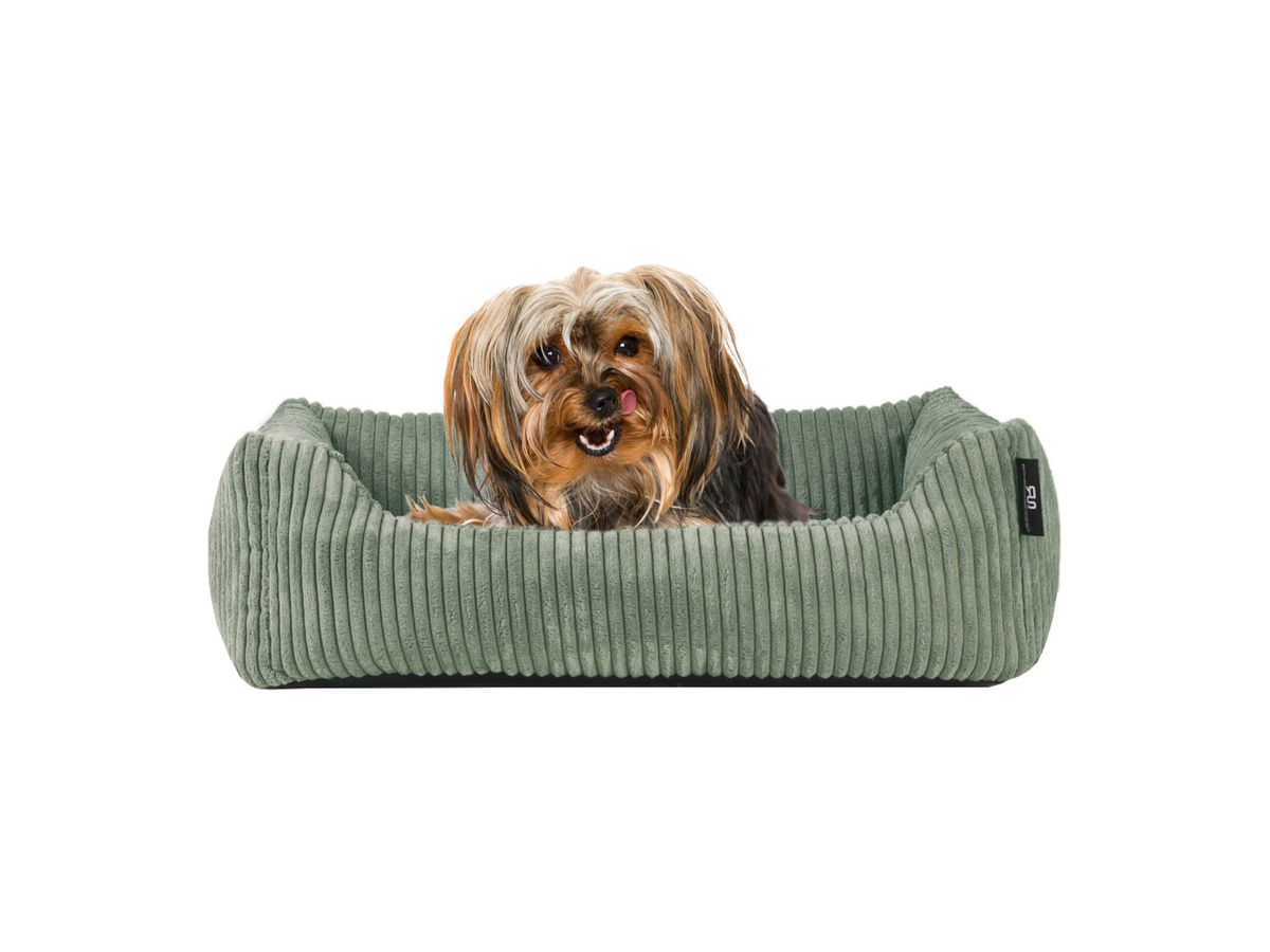 ROHRSCHNEIDER Tierbett Milly in Salbei mit abnehmbarem Bezug und rutschfester Unterseite aus Polyester Cordstoff, B/T/H: 55 x 42 x 15 cm - Bild 2