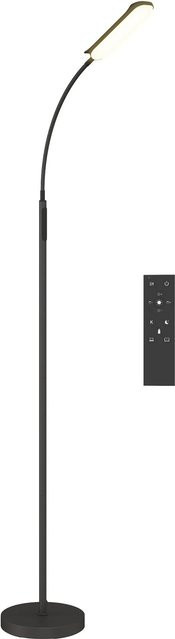 HOMCOM LED Stehlampe aus Stahl in Schwarz mit Fernbedienung und Dimmer, B/T/H: 22 x 22 x 175 cm - Bild 1