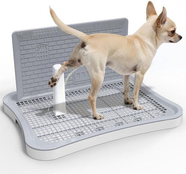 Hundespritzschutz Wandmittelpfosten mit Trainingsschale für das Welpentraining in Beige - Bild 1