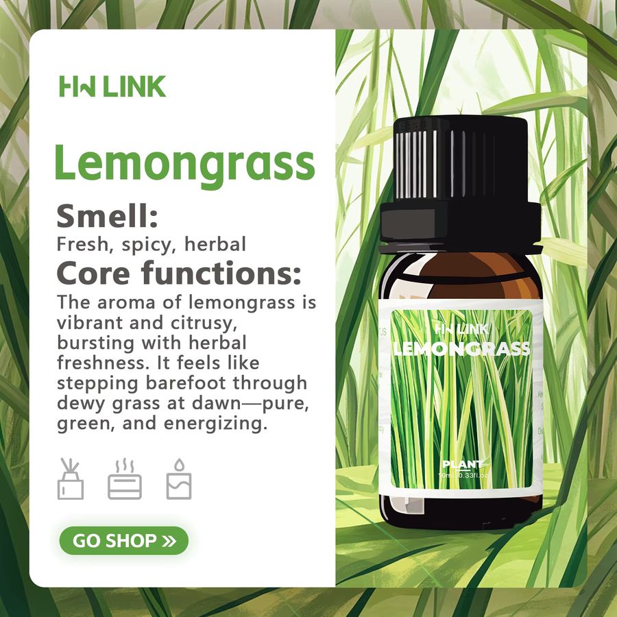 HWLINK Ätherisches Zitronengrasöl und Citronella Öl für die Aromatherapie, 10 ml - Bild 3