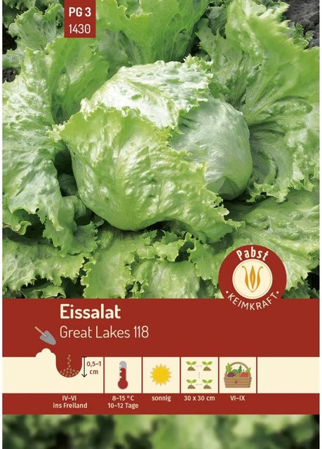 Pabst Keimkraft Eissalat Great Lakes 118 Saatgut für Sommer und Herbst - Bild 1