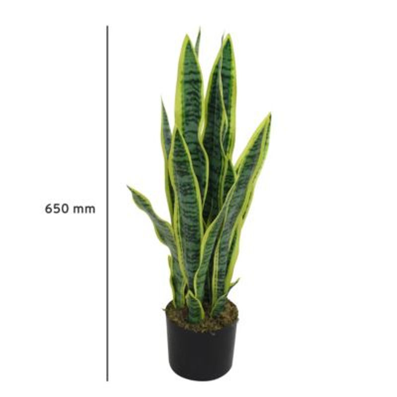 Kunstpflanze Sansevieria von Paperflow in Grün, Höhe: 65 cm - Bild 2
