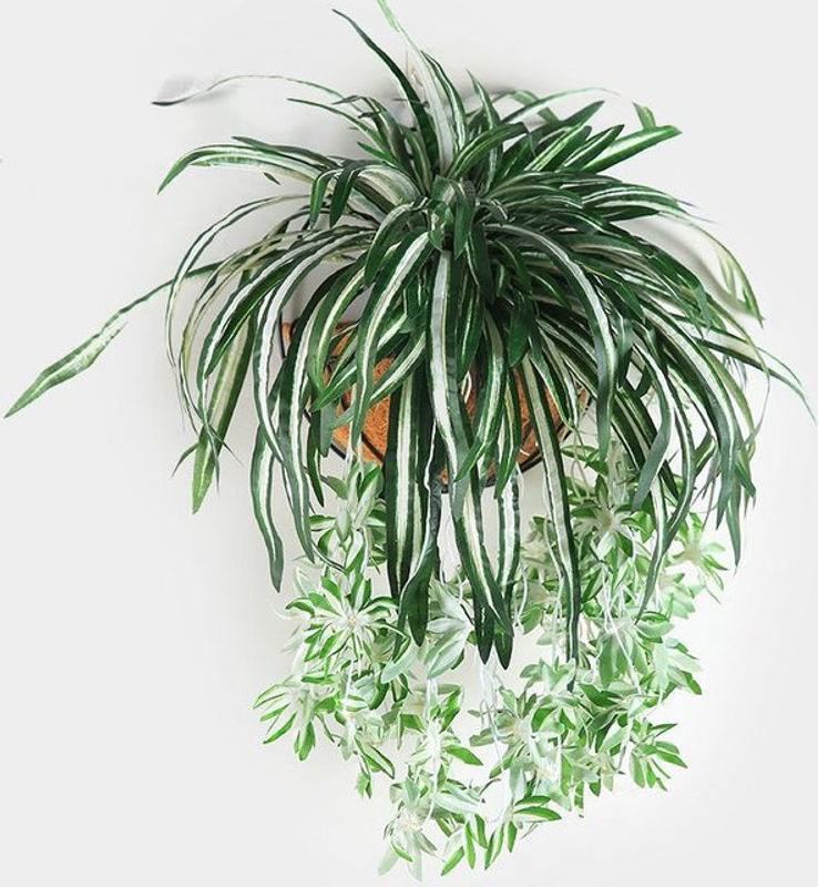Homelife03 Künstliche Chlorophytum Hängepflanze in Grün, 65 cm Wandbehang aus Kunststoff - Bild 1