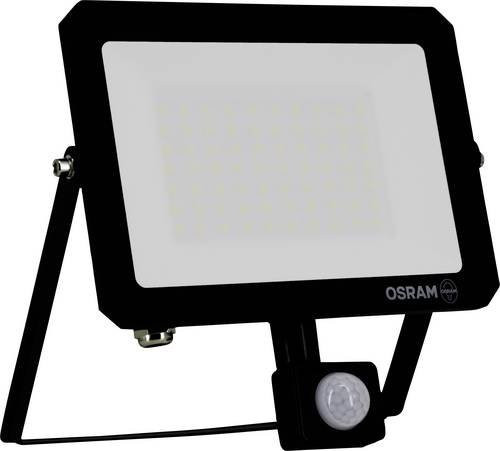 Osram LED-Flutlichtstrahler Homelighting Floodlight Lux mit Bewegungsmelder und Dämmerungssensor, 50W, Schwarz, Tageslichtweiß 6500K, IP65 - Bild 1