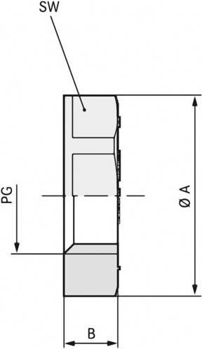 LAPP SKINDICHT GMK PG 21 Gegenmutter aus Polystyrol in Lichtgrau RAL 7035, 50 Stück - Bild 1