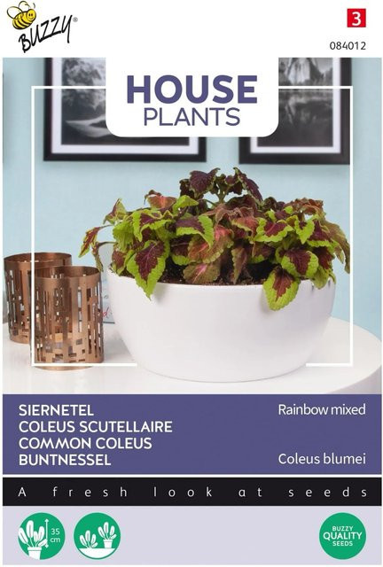 Buzzy House Plants Buntnessel Regenbogen-Mischung Samen für Zimmerpflanzen, 0,25 g - Bild 1