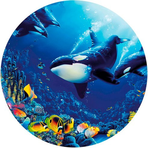 K&L Wall Art Runde Vliestapete Orcas Ozean, mehrfarbig, matt - Bild 1