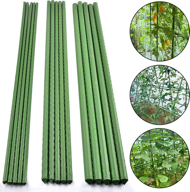 Grüne Pflanzenpfähle aus kunststoffbeschichtetem Stahl für Kletterpflanzen, Obst und Gemüse, Länge: 60 cm - Bild 1