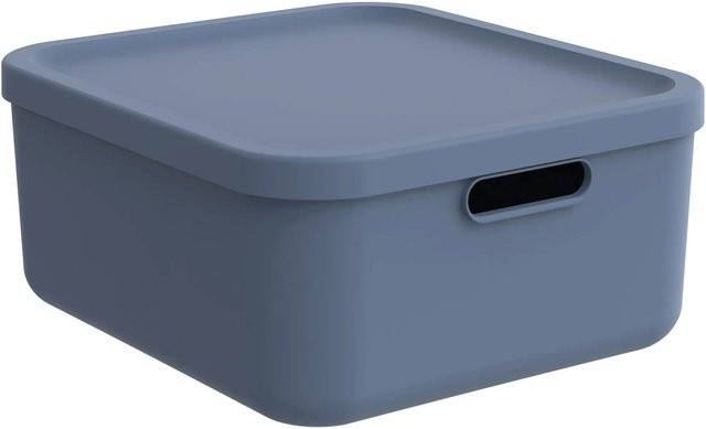 Rotho Multibox Albula 20 Aufbewahrungsbox mit Griffen in Horizontblau - Bild 1