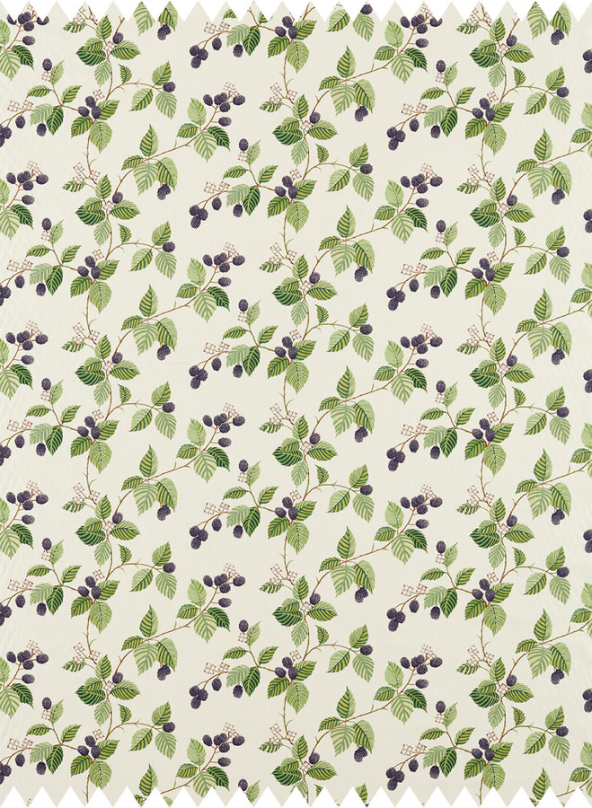 Sanderson Stoff Rubus in Blackberry mit Purple und Green - Bild 1