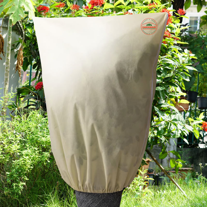 Pflanzenschutzhaube 3er-Set Beige B: 0,6 m, T: 0,8 m - Bild 5
