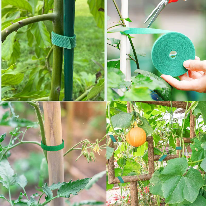 Wiederverwendbare Pflanzenbinder aus grünem Nylon-Bambus-Wickelband zur Unterstützung von Kletterpflanzen und Tomaten im Gemüsegarten - Bild 2