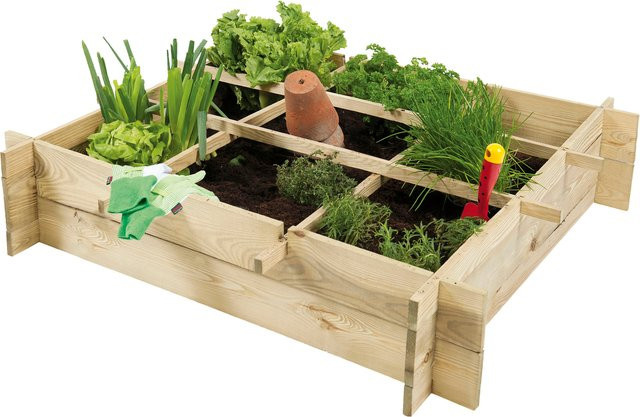 Gemüsegarten Beetkasten B/T/H: 90 x 90 x 20 cm - Bild 1
