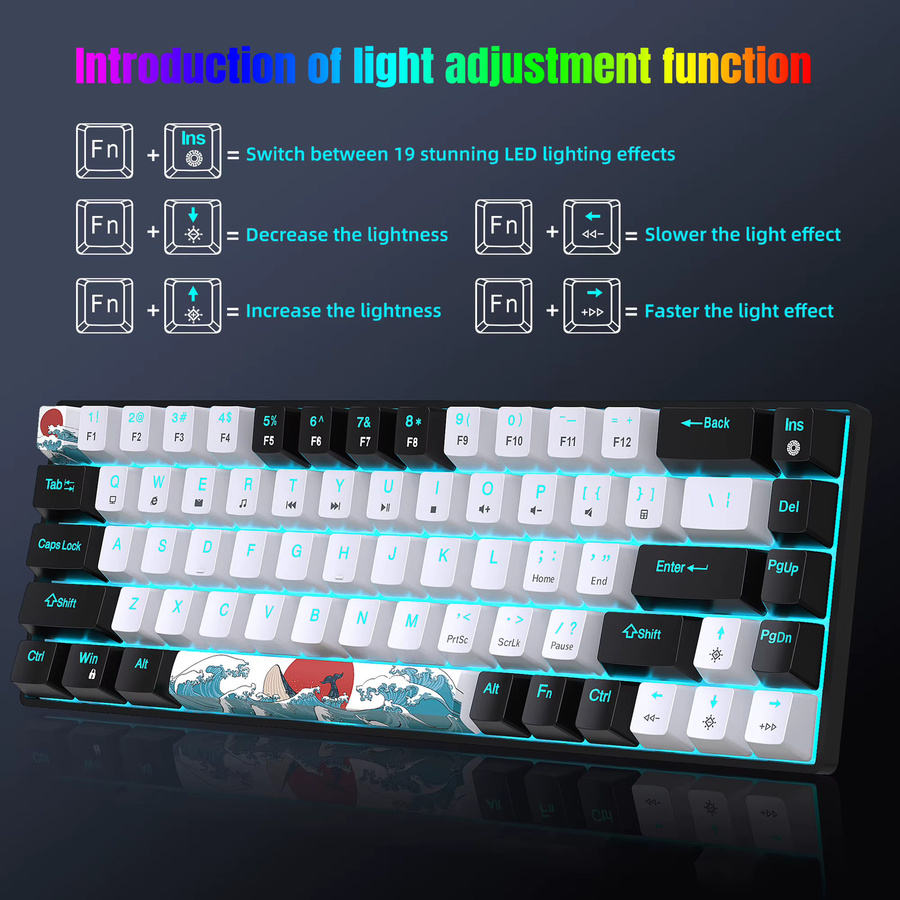 HXSJ Mechanische Gaming-Tastatur mit 68 Tasten, Blaue Schalter, USB-C Anschluss und Mehrfarbiger Beleuchtung in Schwarz-Weiß - Bild 4