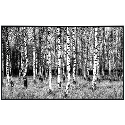 papermoon EcoHeat Infrarotheizung Birkenwald Schwarz Weiss Matt-Effekt mit App-Steuerung und Überhitzungsschutz - Bild 2