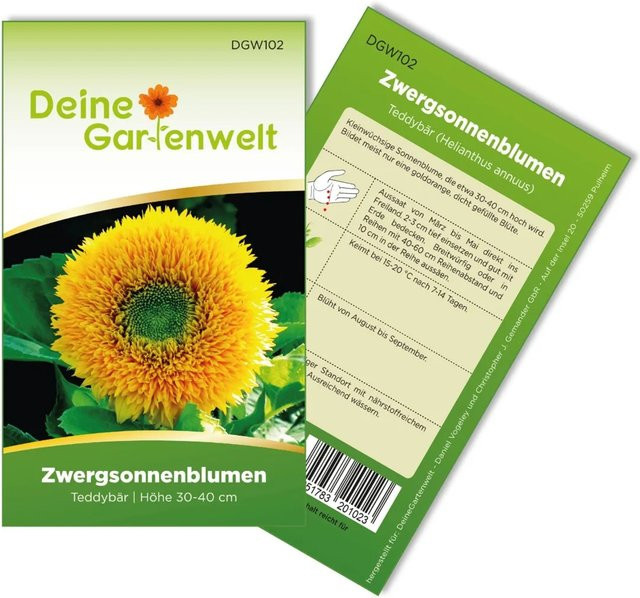 Deine Gartenwelt Zwergsonnenblume Teddybär Samen für den Freilandgarten - Bild 1