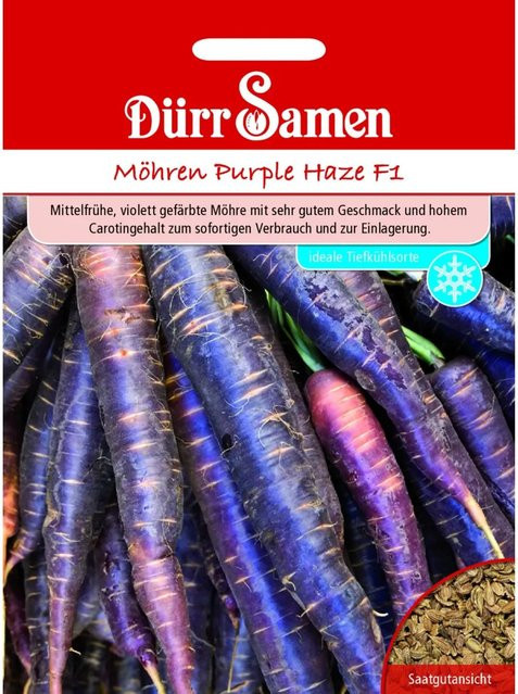 Dürr Samen Möhren Purple Haze F1 Gemüse-Saatgut - Bild 1