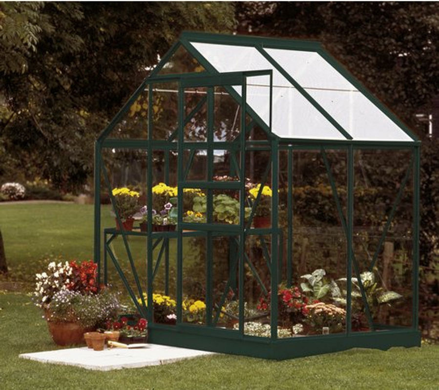 Vitavia Gewächshaus Venus 2500 in Smaragd Grün mit 2,5 m² Anbaufläche und 3 mm ESG-Glas - Bild 5