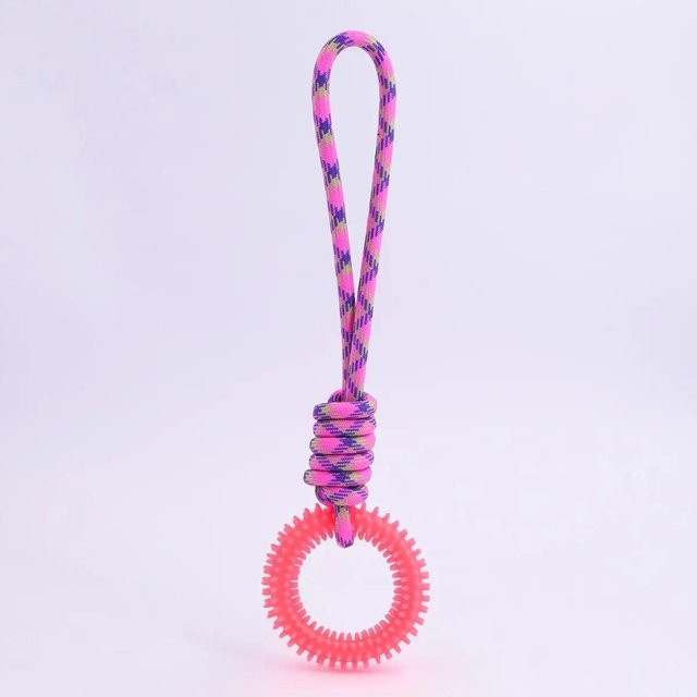 Love Home Garden Interaktives Trainings-Haustierspielzeug, Stacheliger Ring, rosa - Bild 1