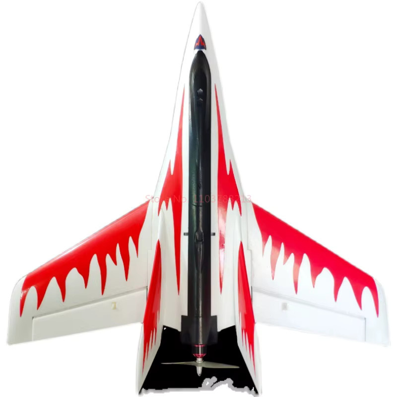 EVYVKV Stinger Wing Hochgeschwindigkeitsferngesteuertes Modellflugzeug - Bild 3