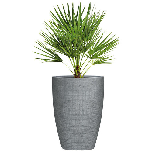 Scheurich Pflanzgefäß Barceo rund in Grau, Durchmesser: 39 cm, Höhe: 54 cm - Bild 2