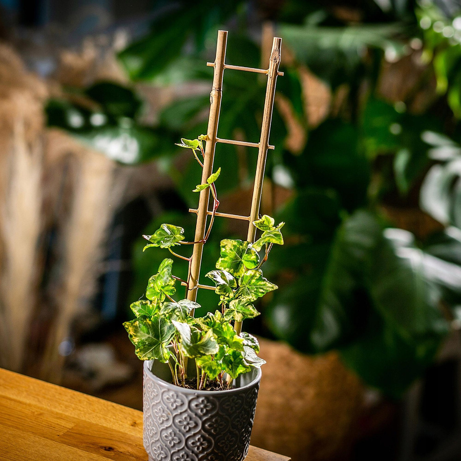 KADAX Pergola Stütze Leiter aus Bambus, 5 Stück, Höhe: 38 cm - Bild 3