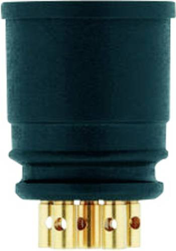 Escha 8008155 Sensor- und Aktor-Einbausteckverbinder, 4-polig, Schwarz - Bild 1