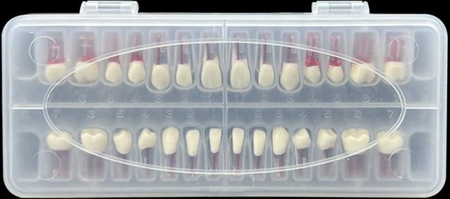 Yiran Health & Beauty Zahn Wurzelkanal Modelle Endodontie Rct Block, Übungsmodell, gray - Bild 1