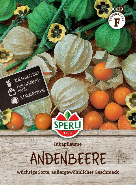 SPERLI Andenbeeren-Samen Inkapflaume zur Aussaat - Bild 1