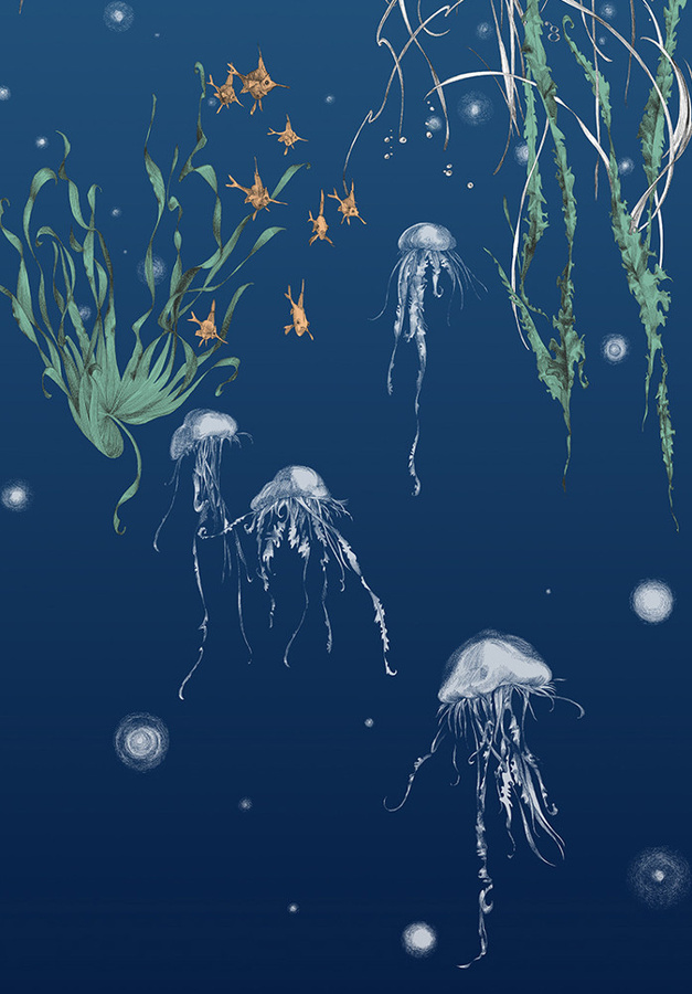 Edmond Petit Tapete Nautilus Marine Méduses Droit in Blau mit Meeresmotiven und Quallen aus Vlies - Bild 2