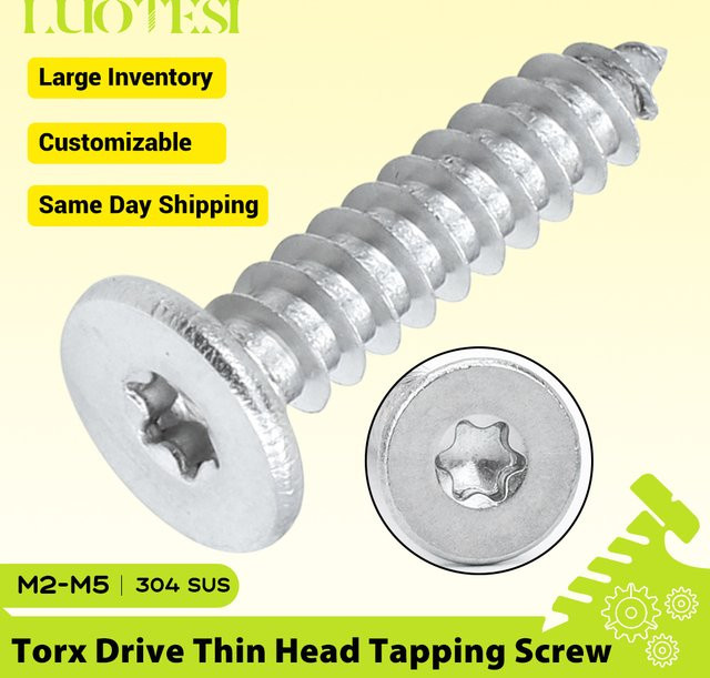 LUOTESI Selbstschneidende Flachkopf-Schrauben aus Edelstahl mit Torx-Antrieb, Farbe: Silber - Bild 1