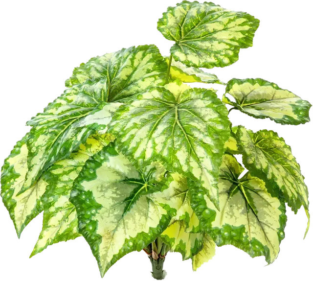 Künstliche Begonie Berta von Aplanta, Höhe: 34 cm - Bild 1