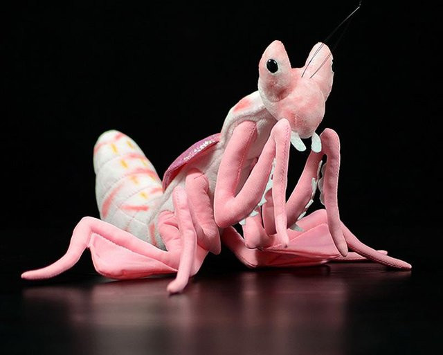 BC Pet Supplies Rosa Orchidee Mantis Plüsch Spielzeug, 28cm - Bild 1